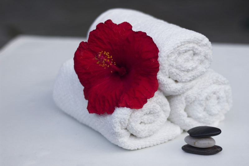 chambre-hote-LES SALLES SUR VERDON-min_towel_hibiscus_clean_care_salon_spa_white_bath-869834